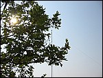 114-1484_IMG.JPG
