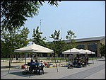 115-1505_IMG.JPG